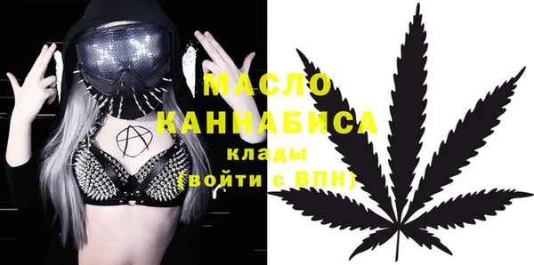 гидра Гатчина