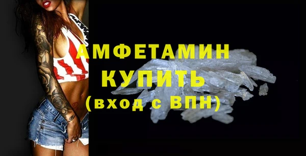молекула духа Пересвет