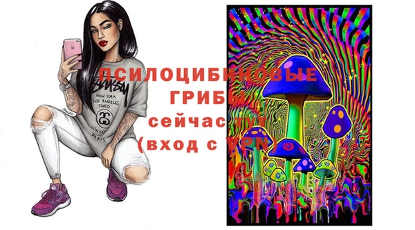 эйфоретик Алексин