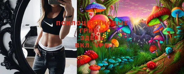 молекула духа Пересвет