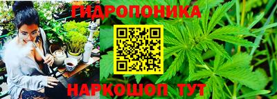 дурь Добрянка