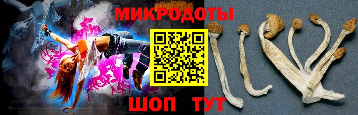 Галлюциногенные грибы GOLDEN TEACHER  Вход с VPN  Моршанск 